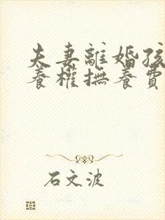 夫妻离婚孩子抚养权抚养费怎么判定