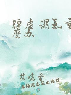 脾虚 湿气重怎么办