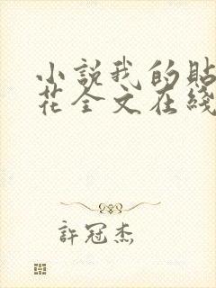 小说我的贴身校花全文在线阅读