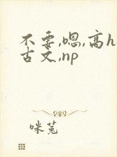 不要,嗯,高h古文,np