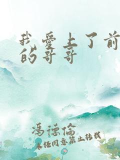 我爱上了前女友的哥哥