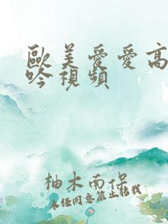 欧美爱爱高潮呻吟视频