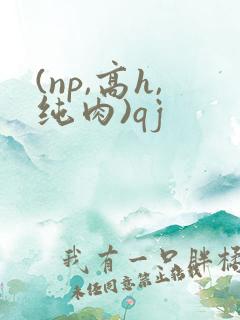 (np,高h,纯肉)qj