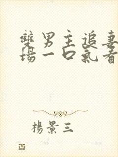 双男主追妻火葬场一口气看完