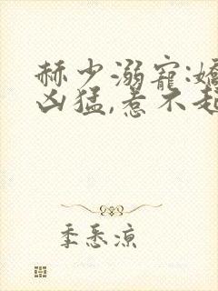 赫少溺宠:娇妻凶猛,惹不起