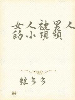 女人被男人捅爽的小视频