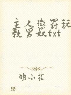 主人惩罚玩弄调教男奴txt