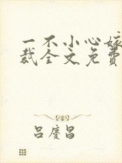 一不小心嫁了总裁全文免费阅读