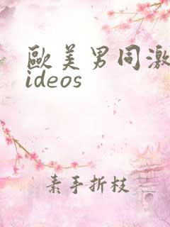 欧美男同激情videos