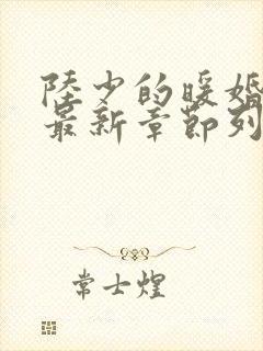 陆少的暖婚新妻最新章节列表