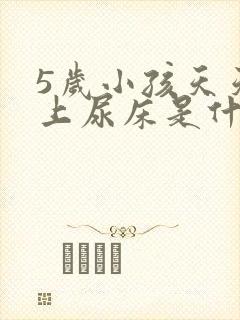 5岁小孩天天晚上尿床是什么原因