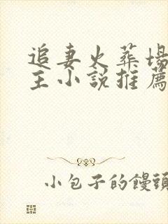 追妻火葬场双男主小说推荐