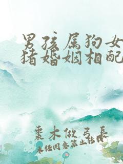 男孩属狗女孩属猪婚姻相配吗