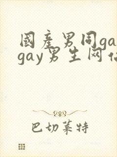 国产男同gaygay男生网站