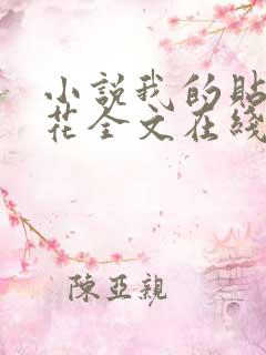 小说我的贴身校花全文在线阅读