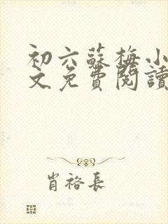 初六苏梅小说全文免费阅读笔趣阁