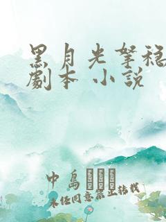 黑月光拿稳be剧本 小说