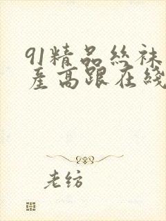 91精品丝袜国产高跟在线