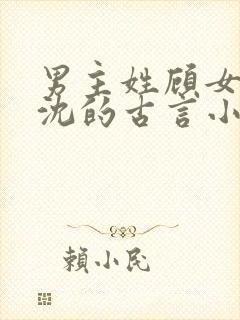 男主姓顾女主姓沈的古言小说