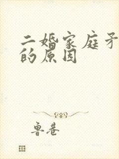 二婚家庭矛盾多的原因