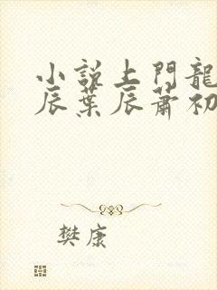 小说上门龙婿叶辰叶辰萧初然