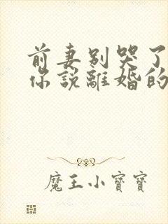 前妻别哭了,是你说离婚的