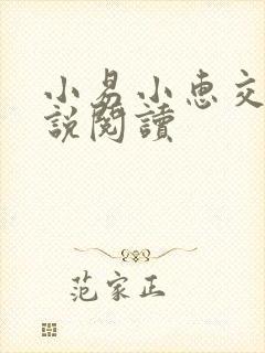 小易小惠交换小说阅读