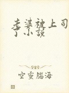 老婆被上司操爽了小说