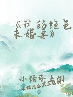 《我的绝色总裁未婚妻》