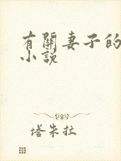 有关妻子的秘密小说