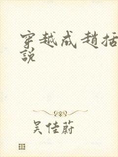 穿越成赵括的小说