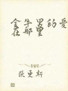 金牛男的爱体现在哪里