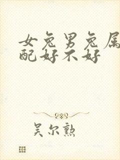 女兔男兔属相婚配好不好