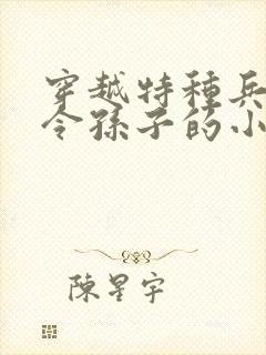 穿越特种兵成司令孙子的小说