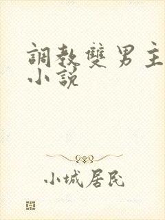 调教双男主双性小说