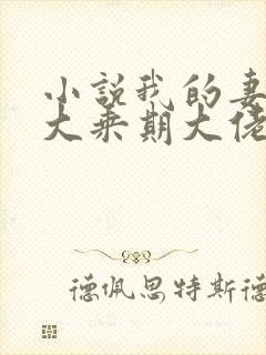 小说我的妻子是大乘期大佬在线阅读