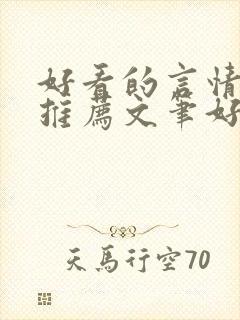 好看的言情小说推荐文笔好