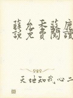 薛允禾苏鹿溪小说免费阅读最新章节