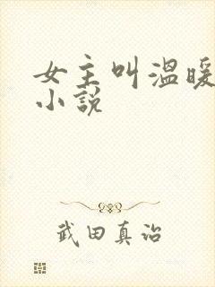 女主叫温暖暖的小说