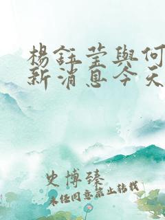 杨钰莹与何炅最新消息今天