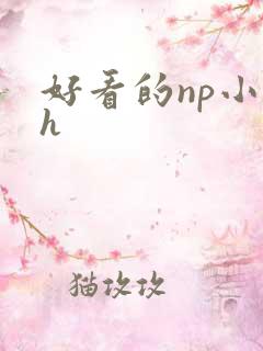 好看的np小说h