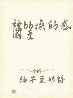 被bb操的感觉国产