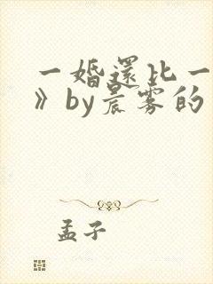 一婚还比一婚高》by晨雾的光