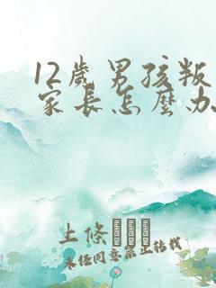 12岁男孩叛逆家长怎么办