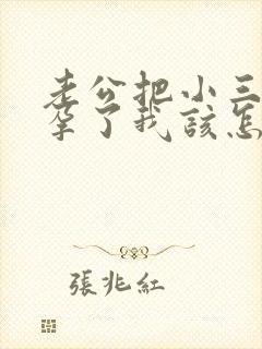 老公把小三搞怀孕了我该怎么办