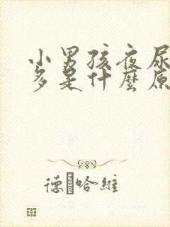 小男孩夜尿次数多是什么原因