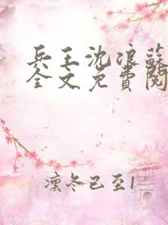 兵王沈浪苏若雪全文免费阅读