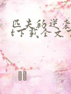 匹夫的逆袭txt下载全文下载