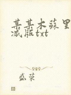 某某木苏里未删减版txt