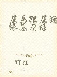 属马跟属猪的姻缘怎么样